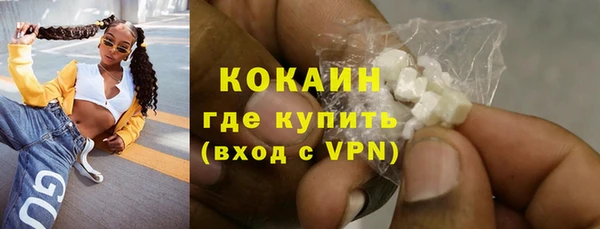 прущие крисы Кулебаки