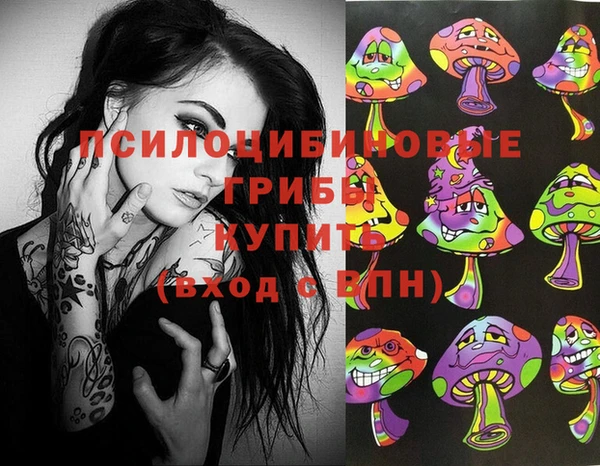 прущие крисы Кулебаки