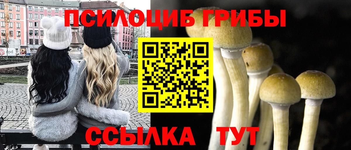 Псилоцибиновые грибы Magic Shrooms  Вход с VPN  Галлюциногенные грибы GOLDEN TEACHER  Тихорецк 